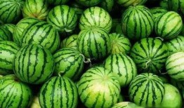 超强吃瓜合集免费观看下载,免费观看与下载，一网打尽热门资讯！