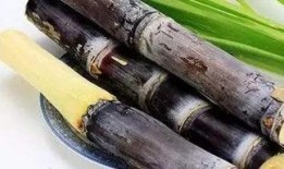 热点爆料甘蔗怎么做视频,视频教程带你轻松学会