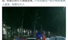唐山事件最新爆料,揭秘背后惊人内幕