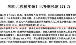 最新爆料偷税,最新爆料直击税收违规行为