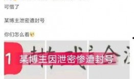 爆料博主被骂视频下载安装,爆料博主被骂视频下载安装事件引发热议