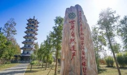 盐城景区爆料事件最新,惊现“幽灵游客”事件引发热议