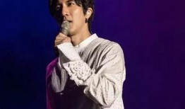 爆料王力宏视频合集,揭秘明星背后的真实生活