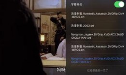 浪漫刺客在线观看手机,手机观影，激情四溢的复仇之旅