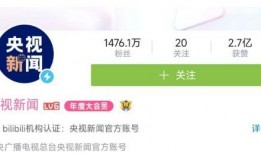 新闻爆料怎么拍视频,视频内容深度解析