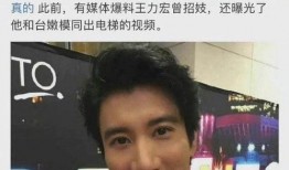爆料王力宏视频合集,揭秘明星背后的真实生活