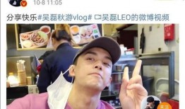 爆料吴磊最新消息视频,揭秘爆料视频背后的精彩瞬间