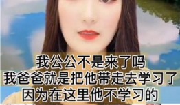 娱乐大爆料朱小伟小说,朱小伟小说中的璀璨星途