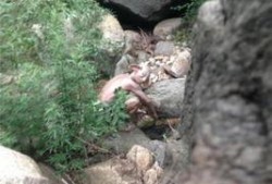 今日爆料北京怀柔苏峪口,北京隐秘的自然秘境新发现